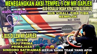 Download lagu REKOR PECAH !! AKSI GILA MR GAPLEK 4 BUS DITEMPEL 5 CM SPION HAMPIR SAJA ... mp3 Download lagu REKOR PECAH !! AKSI GILA MR GAPLEK 4 BUS DITEMPEL 5 CM SPION HAMPIR SAJA ... mp3