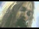 Roses video