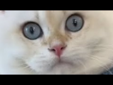 Care for ￼a piece of my ice cream