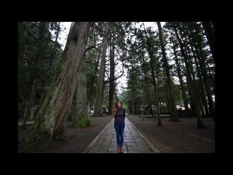 Japan - 3 Wise Monkeys