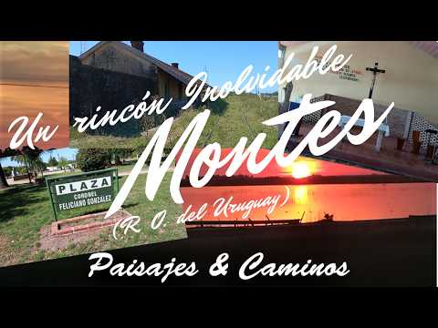 Montes simple y auténtico / Dpto Canelones / R. O. del Uruguay