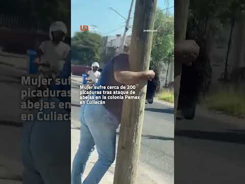 👩🏻‍🦱🐝Mujer sufre cerca de 200 picaduras tras ataque de abejas en la colonia Pemex en Culiacán📍