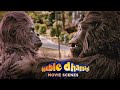 Double Dhamaal Movie Scenes | Ladies-gents se kya farq padtha hai, gorilla toh gorilla hai | Arshad