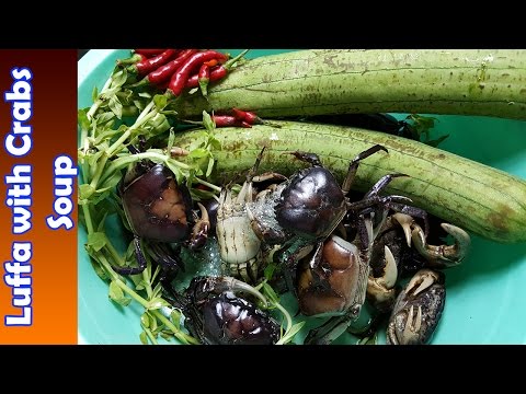 Asian Food, Khmer cooking dinner recipes, Luffa with Crabs Soup, home food factory
