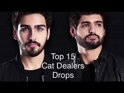 Top 15 Cat Dealers Drops