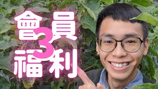 頻道會員的3個福利！《葛斯怎麼種》53