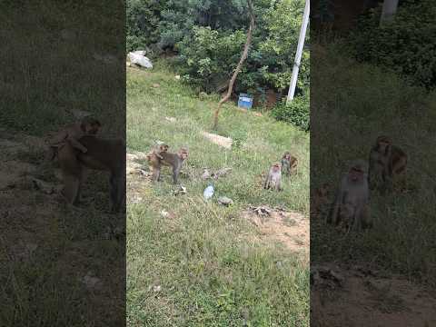 Snithik got a big dough