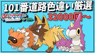 【ポケモンルビサファ】9画面で色違い厳選 101番道路 59400回～