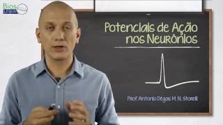 Potencial de Ação nos Neurônios - Videoaula de Fisiologia