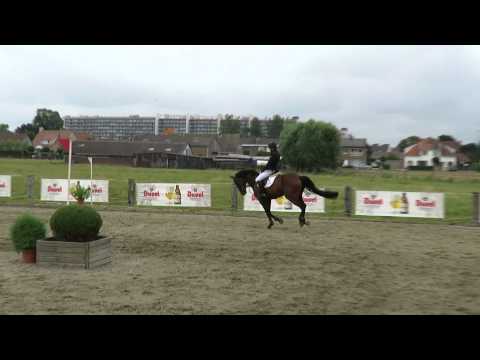 Lanciato Z (Lupicor x Corland)