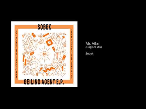 Sobek - Mr. Vibe (Original Mix)