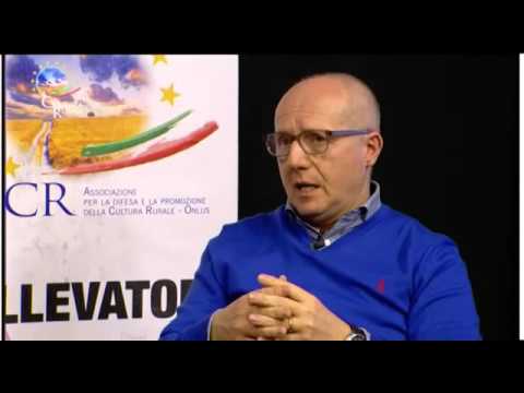 TELEBOARIO - ACR puntata 9, 31 marzo 2016 TELEBOARIO - ACR puntata 9, 31 marzo 2016