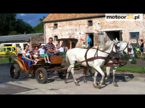 Agroturystyka Maya - Gorzyca meteor24.pl