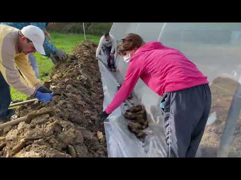 How to Install Greenhouse Plastic Top Cover ? How to repare a greenhouse?