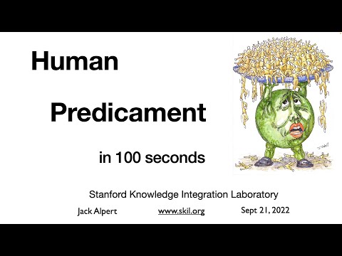 The Human Predicament in 100 Seconds