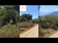 Tour Virtual