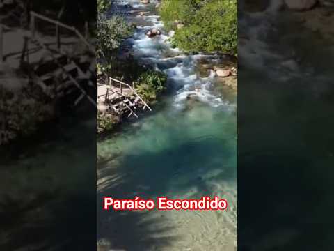 DE DRONE VOANDO SOBRE O PARAÍSO DO PEQUIZEIRO #drone #praia #shortvideo #shorts