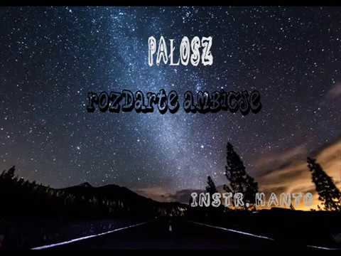 06. Pałosz - Rozdarte Ambicje (instr. Hanto)