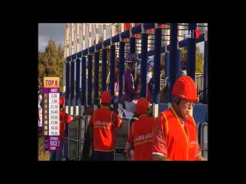 2015  Channel SEVEN BTC Derby _ Magicool