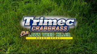 Trimec Crabgrass Ready Spray demonstration video