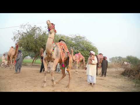 Happy Birthday Bhaskar | bhaskar happy birthday song with name | @happybirthdayexpress