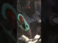 You NEVER Change A Fuel Pump Without Doing THIS First