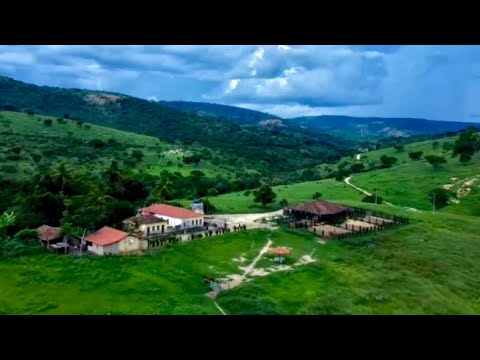 ✨️ 524.98 HA FARM - FULL VIDEO - SOLO AND DRONE ✨️