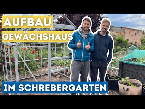 , title : 'Berliner Garten Vlog #54: Gewächshaus aufbauen im Schrebergarten | Garten Blumen für den Juni'