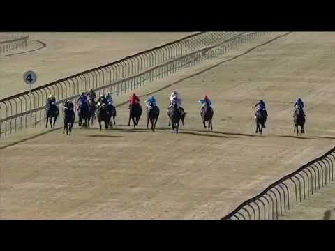 2020.07.04 Golden Horse Medallion (RSA) - Tempting Fate