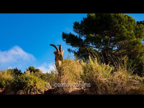 El último viaje del año.