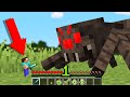 Minecraft But XP SIZE