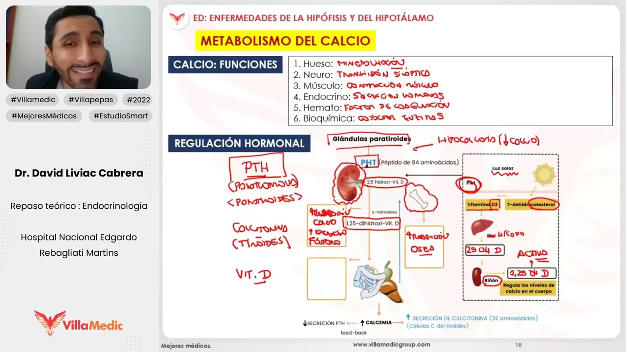 PATOLOGÍA DEL CALCIO Y DE LAS PARATIROIDES - ENDOCRINOLOGÍA - VILLAMEDIC