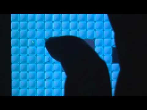 FluOrama iPhone Gameplay Review - AppSpy.com