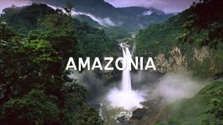 Ecosystem (Sahara and Amazonia)