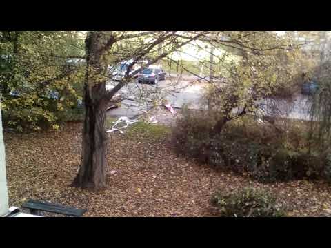 HOMTOM HT16 camera test