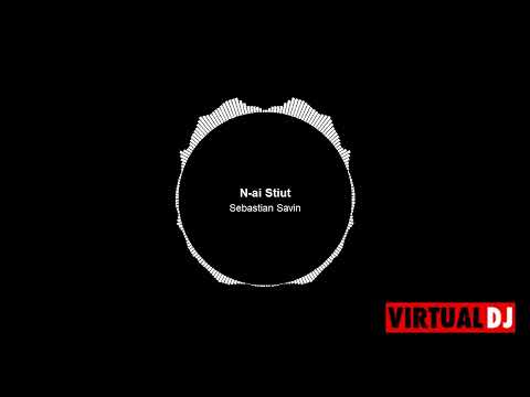 SEBASTIAN SAVIN  N AI STIUT OFFICIAL AUDIO 2023