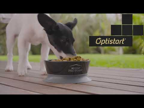 Purina