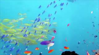 Serie Gotas del cielo:  La felicidad