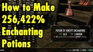 How to Make 256,422% Enchanting Potions
