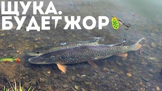 Ловится ли щука в туман осенью