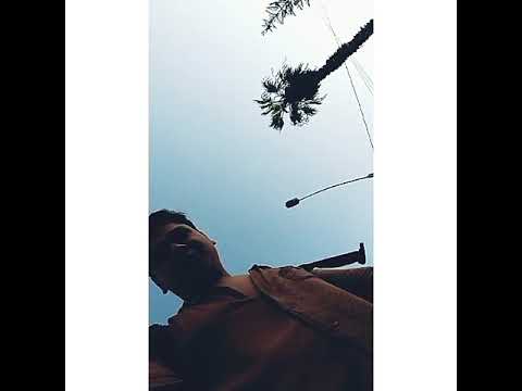 JOA PRIMUS INTER PARES - LA NUEVA ORDEN