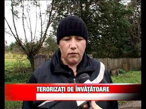 TERORIZATI DE INVATATOARE