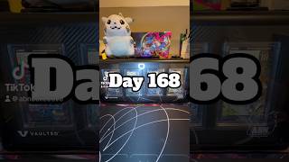 Day 168 #365daychallenge #pokemoncollector #pokemon #pokemoncards #gengar