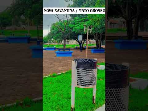 Nova Xavantina  / Mato Grosso