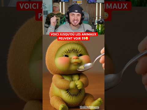 VOICI JUSQU’OÙ LES ANIMAUX PEUVENT VOIR 👀😳