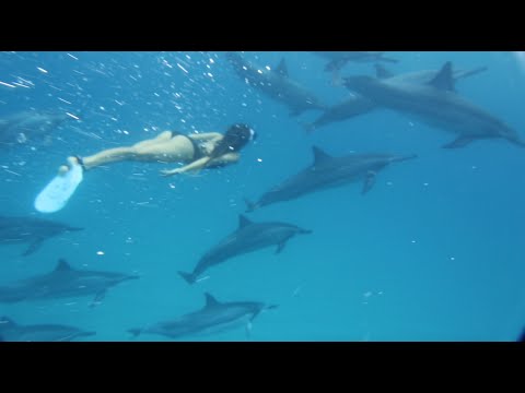 Noelani Hawaii presents the AKASHA jewelry collection