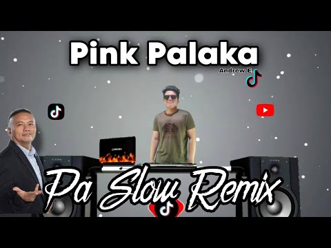 PINK PALAKA REMIX PA SLOW TIKTOK VIRAL DANCE CRAZE 2023 ANDREW E. FT. DJTANGMIX PA SLOW REMIX