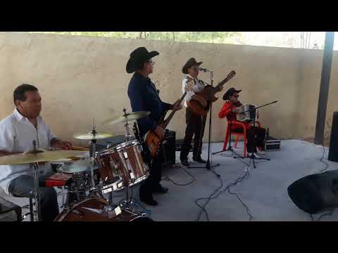 huapango - Los Tremendos Gavilanes de Juan Torres