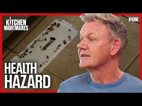 How Many Health Code Violations Can Gordon Find? | Kitchen Nightmares