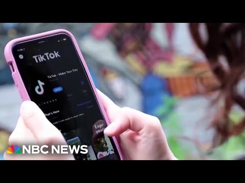 TikTok denies censoring anti-ICE content, blames outage